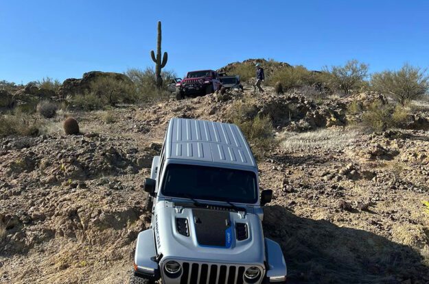 silver jeep and a cactus