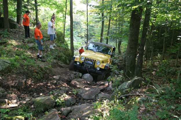 yellow jeep in the woods