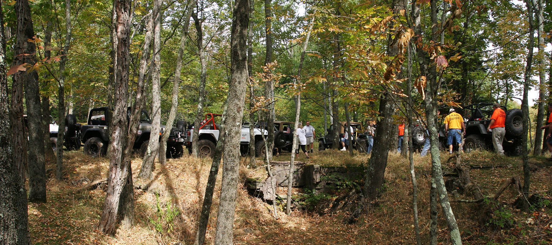 jeeps in the woods