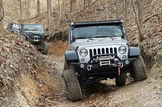 jeeps in the woods