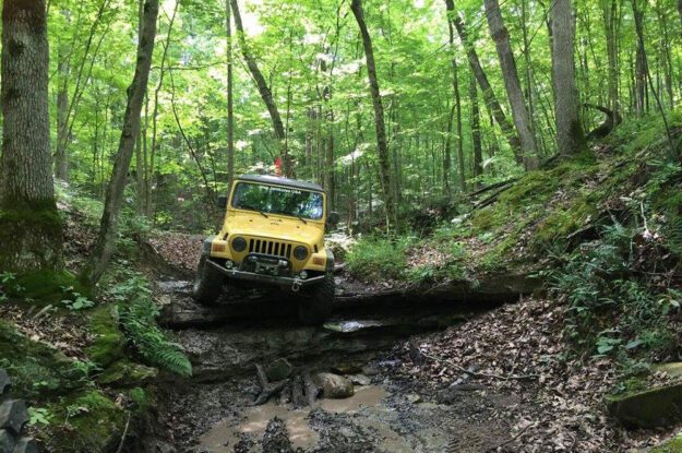 yellow jeep in woods