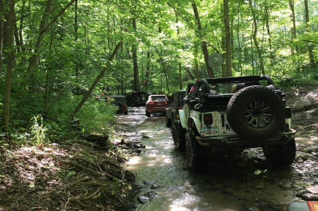 row of jeeps in stream
