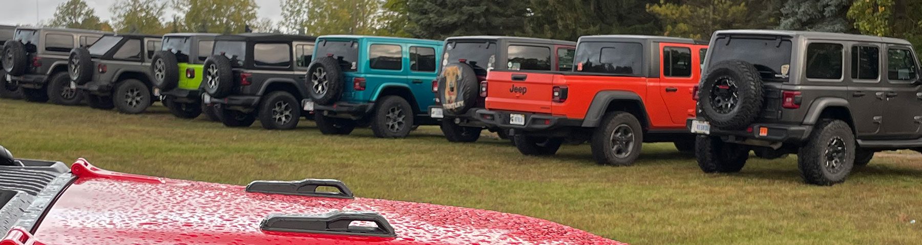row of jeeps in tennessee
