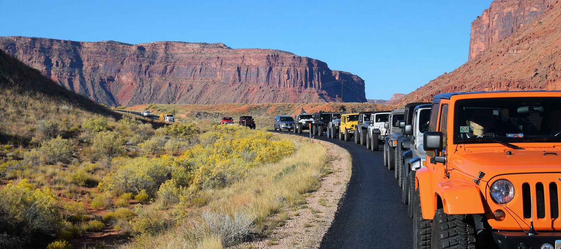 moab jeeps in a row